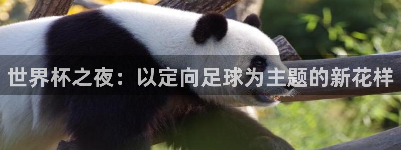 世界杯预选赛欧洲赛区积分榜：世界杯之夜：以定向足球为主题的新花样