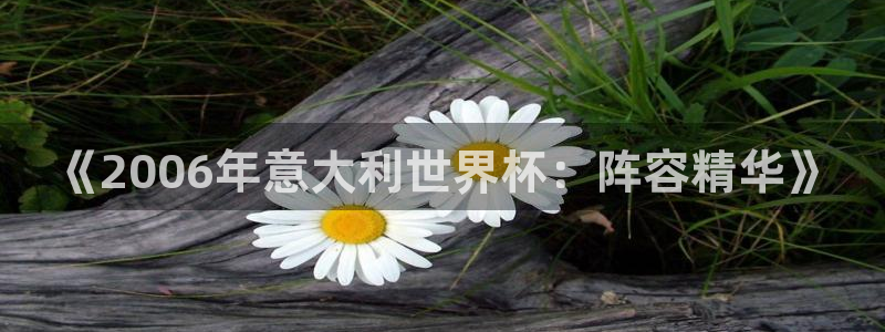 世界杯在线直播：《2006年意大利世界杯：阵容精华》