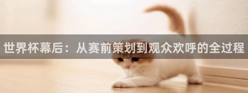 世界杯直播：世界杯幕后：从赛前策划到观众欢呼的全过程