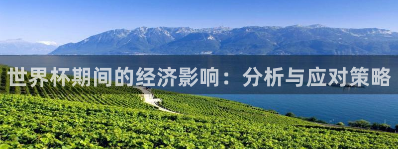 世界杯足球直播：世界杯期间的经济影响：分析与应对策略