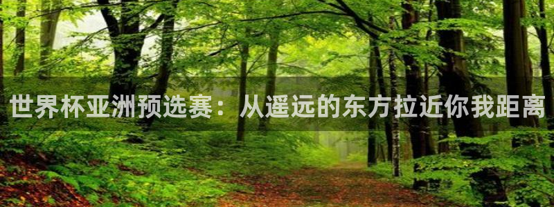 世界杯系列赛：世界杯亚洲预选赛：从遥远的东方拉近你我距离