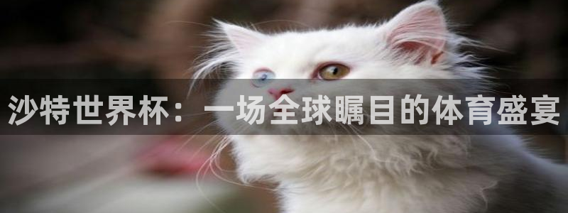 2026世预赛全部赛程：沙特世界杯：一场全球瞩目的体育盛宴