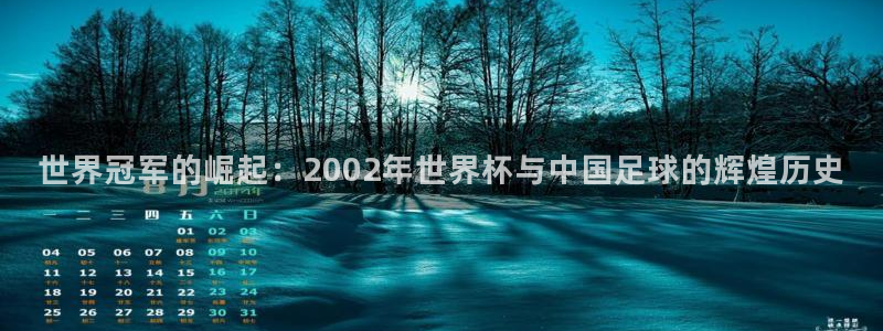 世界杯预选赛欧洲：世界冠军的崛起：2002年世界杯与中国足球的辉煌历史