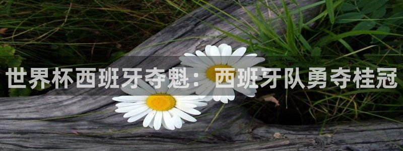 今年世界杯：世界杯西班牙夺魁：西班牙队勇夺桂冠