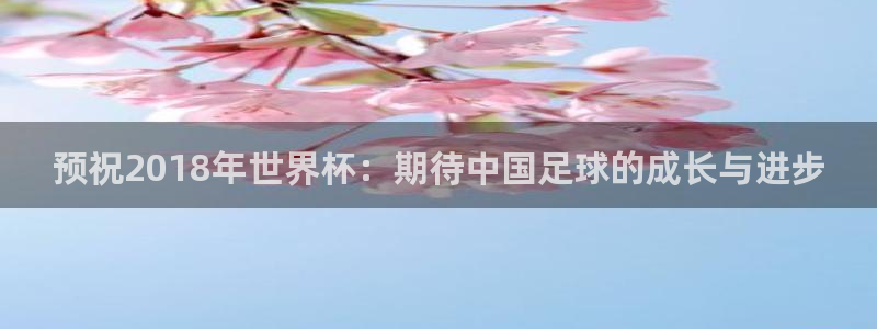 世界杯直播网站：预祝2018年世界杯：期待中国足球的成长与进步