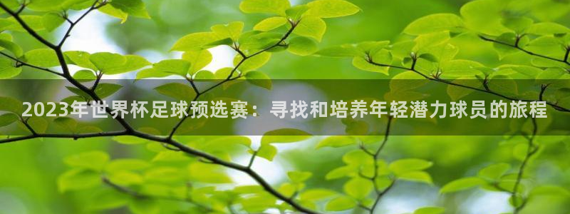 2026世界杯赛制：2023年世界杯足球预选赛：寻找和培养年轻潜力球员的旅程