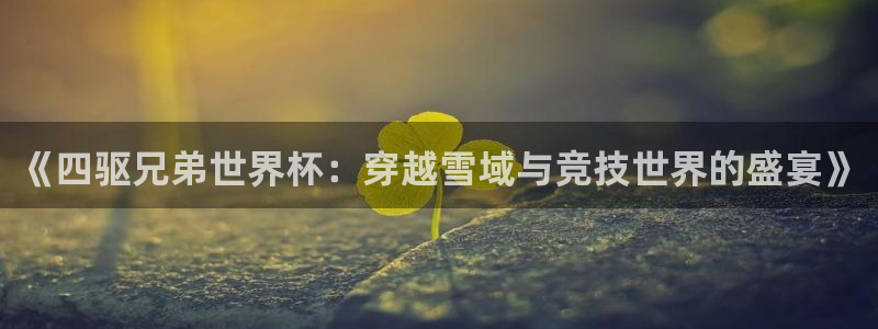 2026世界杯赛程时间表最新：《四驱兄弟世界杯：穿越雪域与竞技世界的盛宴》
