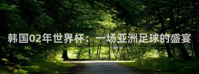 美国世界杯：韩国02年世界杯：一场亚洲足球的盛宴